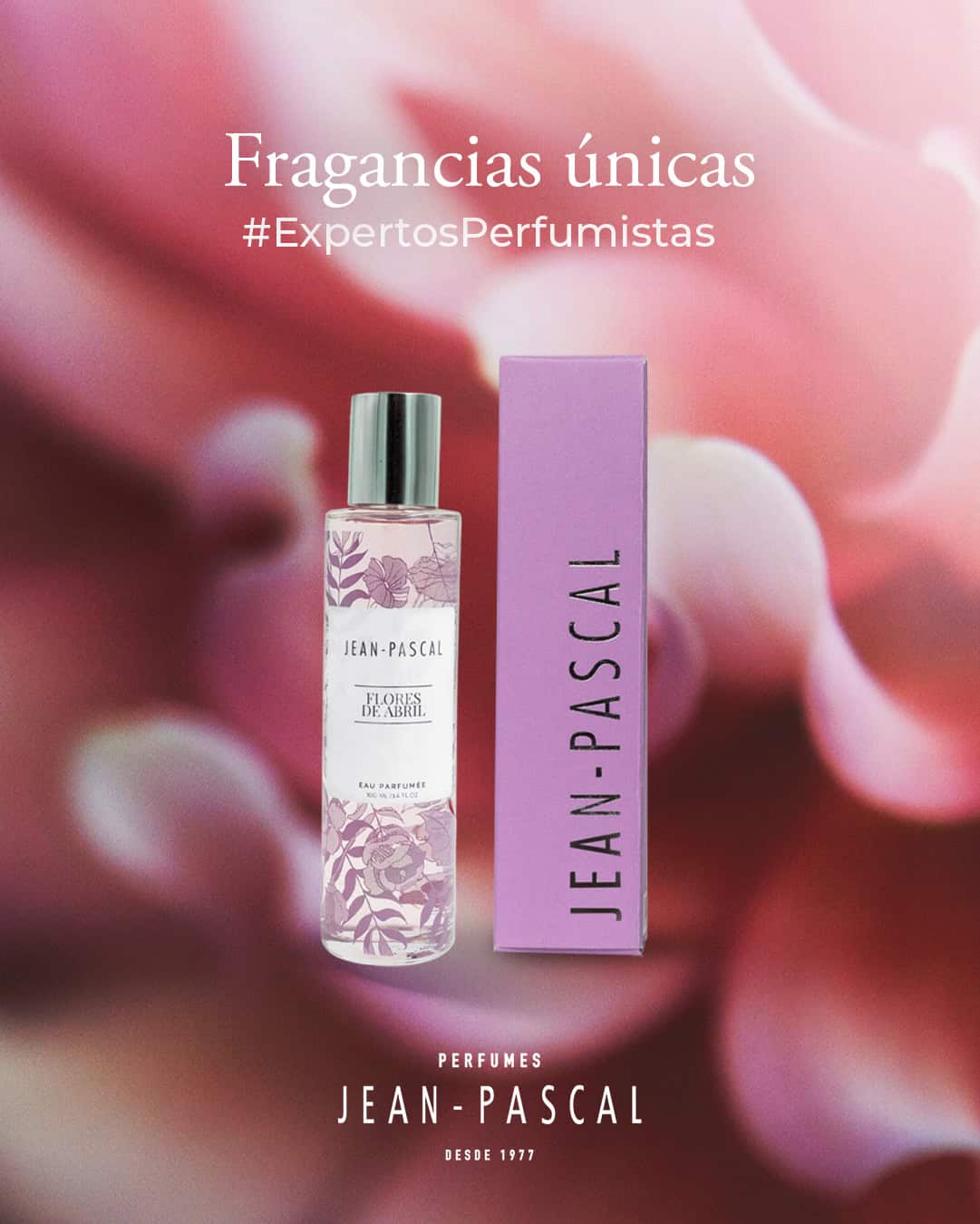 fragancias-movil (2)